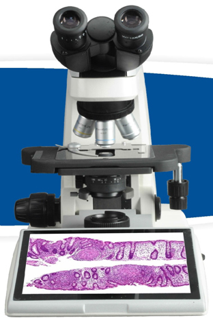 Digital Biological Microscope RXLr-4D