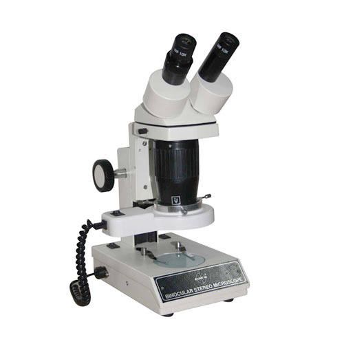 Stereo Microscope