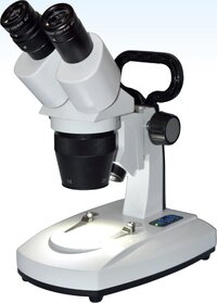 Binocular Stereo Microscopes