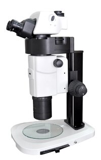 Motorized Stereo Microscopes