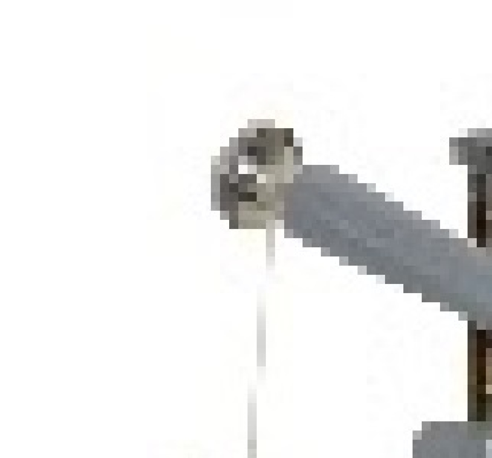 Rocking Microtome