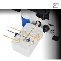 Confocal Microscope